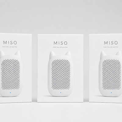 Miso Trio
