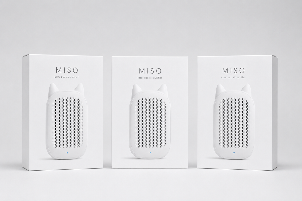 Miso Trio