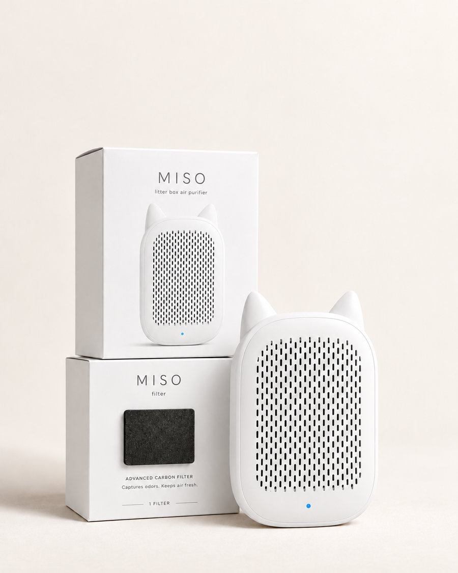 Miso Starter Bundle